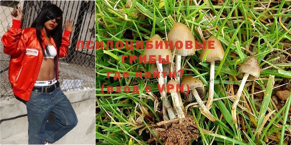 молекула духа Абинск