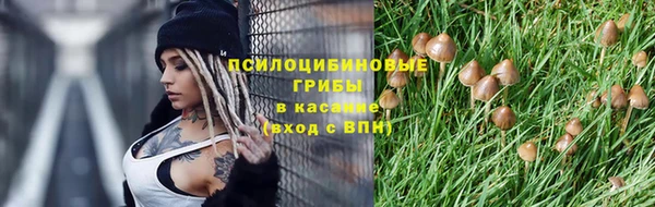 тгк Абдулино