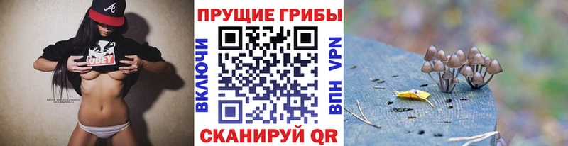 Псилоцибиновые грибы MAGIC MUSHROOMS Донецк