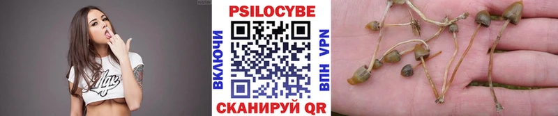 блэк спрут ССЫЛКА  купить  цена  Донецк  Галлюциногенные грибы Psilocybe 