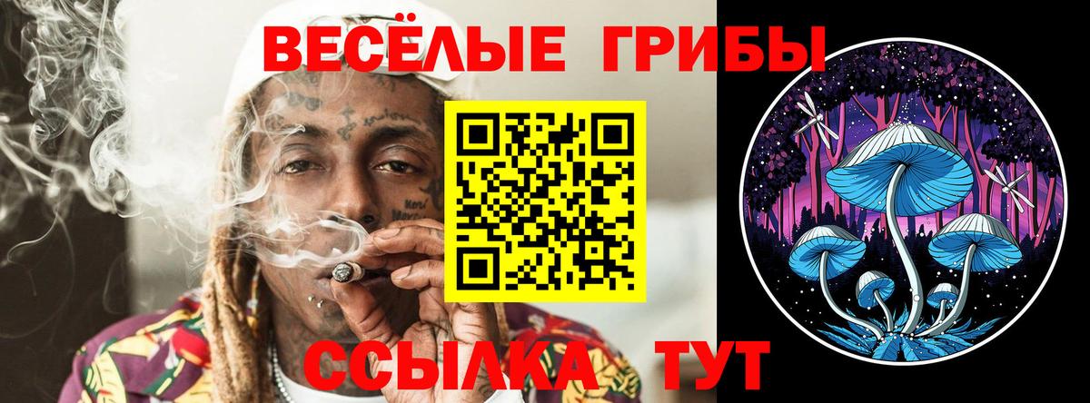где продают   Вход с VPN  Псилоцибиновые грибы MAGIC MUSHROOMS  Донецк  Псилоцибиновые грибы мухоморы 
