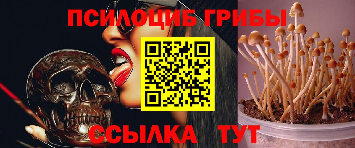 Псилоцибиновые грибы ЛСД Донецк