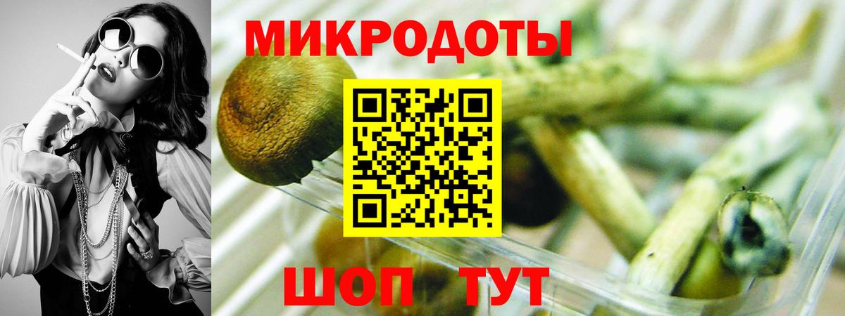 Псилоцибиновые грибы Донецк